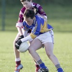 Co.Primary Schools Allianz Football Finals.