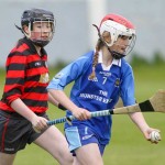 Allianz Eastern Primary Schools Camogie Finals 2013