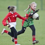 Co.Primary Schools Allianz Football Finals.