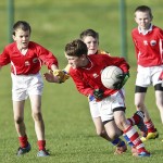 Co.Primary Schools Allianz Football Finals.