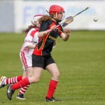 Allianz Eastern Primary Schools Camogie Finals 2013