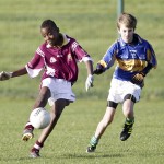 Co.Primary Schools Allianz Football Finals.