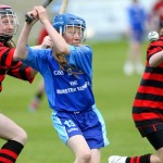 Allianz Eastern Primary Schools Camogie Finals 2013