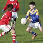 Co.Primary Schools Allianz Football Finals.