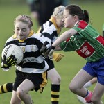 Co.Primary Schools Allianz Football Finals.