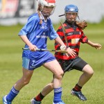 Allianz Eastern Primary Schools Camogie Finals 2013