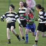 Co.Primary Schools Allianz Football Finals.