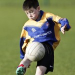 Co.Primary Schools Allianz Football Finals.