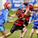 Allianz Eastern Primary Schools Camogie Finals 2013