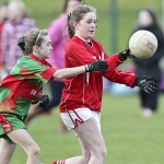 Co.Primary Schools Allianz Football Finals.