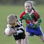 Co.Primary Schools Allianz Football Finals.