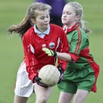 Co.Primary Schools Allianz Football Finals.