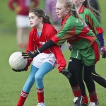 Co.Primary Schools Allianz Football Finals.