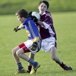 Co.Primary Schools Allianz Football Finals.