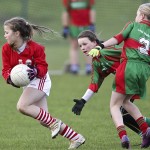 Co.Primary Schools Allianz Football Finals.