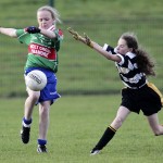 Co.Primary Schools Allianz Football Finals.