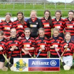 Allianz Eastern Primary Schools Camogie Finals 2013