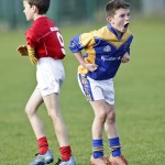 Co.Primary Schools Allianz Football Finals.