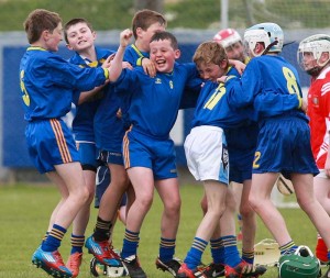 Eastern Primary Schools Allianz Cumann Na mBunscol Hurling Final