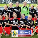 Allianz Eastern Primary Schools Camogie Finals 2013