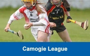 camogie-league