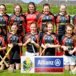 Allianz Eastern Primary Schools Camogie Finals 2013