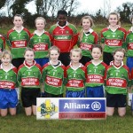 Co.Primary Schools Allianz Football Finals.