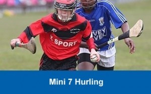 mini-7s-hurling