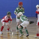 INDOOR EASTERN CAMOGIE FINALS