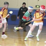 PRIMARY SCHOOLS EASTERN INDOOR HURLING