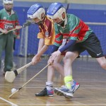 PRIMARY SCHOOLS EASTERN INDOOR HURLING