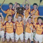 PRIMARY SCHOOLS EASTERN INDOOR HURLING