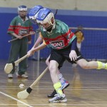 PRIMARY SCHOOLS EASTERN INDOOR HURLING