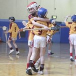 PRIMARY SCHOOLS EASTERN INDOOR HURLING