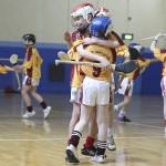 PRIMARY SCHOOLS EASTERN INDOOR HURLING