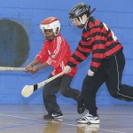 PRIMARY SCHOOLS EASTERN INDOOR HURLING