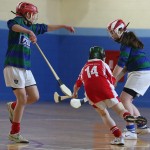 INDOOR EASTERN CAMOGIE FINALS