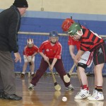 PRIMARY SCHOOLS EASTERN INDOOR HURLING