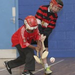 PRIMARY SCHOOLS EASTERN INDOOR HURLING