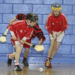 PRIMARY SCHOOLS EASTERN INDOOR HURLING