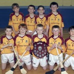 PRIMARY SCHOOLS EASTERN INDOOR HURLING