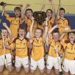 PRIMARY SCHOOLS EASTERN INDOOR HURLING