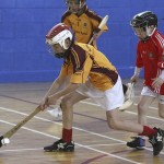 PRIMARY SCHOOLS EASTERN INDOOR HURLING