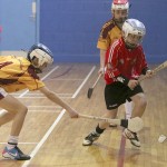 PRIMARY SCHOOLS EASTERN INDOOR HURLING