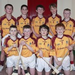 PRIMARY SCHOOLS EASTERN INDOOR HURLING