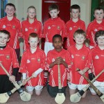 PRIMARY SCHOOLS EASTERN INDOOR HURLING