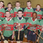 PRIMARY SCHOOLS EASTERN INDOOR HURLING