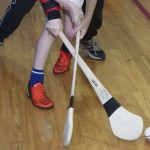 PRIMARY SCHOOLS EASTERN INDOOR HURLING