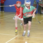 PRIMARY SCHOOLS EASTERN INDOOR HURLING