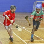 PRIMARY SCHOOLS EASTERN INDOOR HURLING